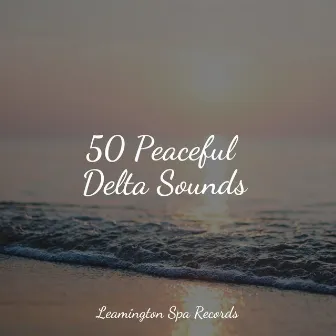 50 Peaceful Delta Sounds by Unknown Artist