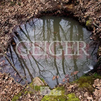 Geiger (Room Three) by Low Spirits