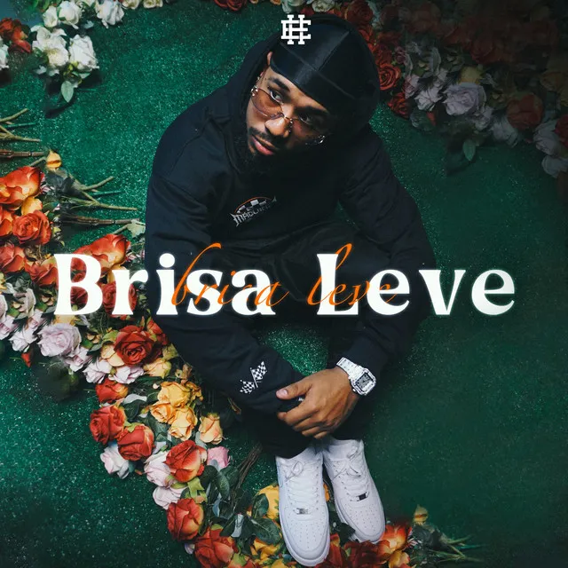 Brisa Leve