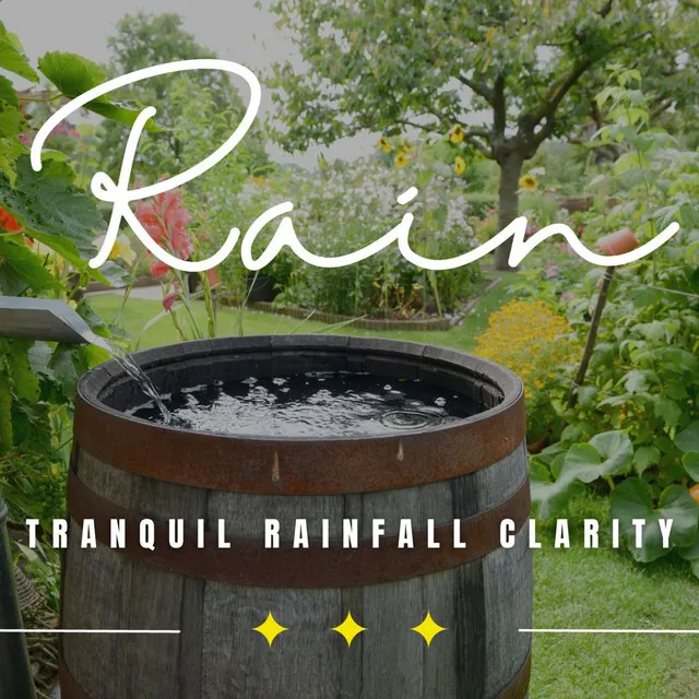 Raindrop Focus: Binaural Mindfulness Rain