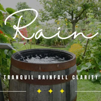 Raindrop Focus: Binaural Mindfulness Rain by Rain Palace