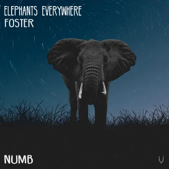 Numb by FOSTER