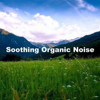 Soothing Organic Noise by Attractive Nature Sounds