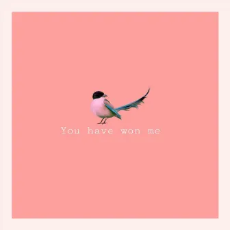 You Have Won Me by Aiva Jenkins