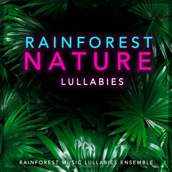 Rainforest Nature Lullabies by Unknown Artist