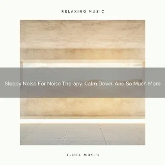 Sleepy Noise For Noise Therapy, Calm Down, And So Much More by Calm Down Baby White Noise