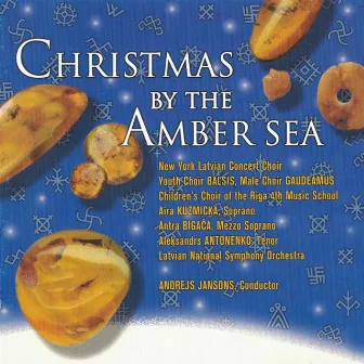 Christmas by the Amber Sea by Andrejs Jansons