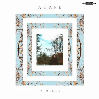 Agape by D Mills