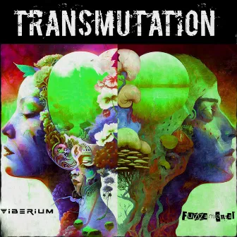 Transmutation by Fuzzamental