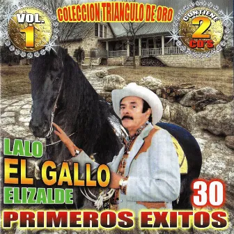 30 Primeros Exitos by Lalo Elizalde