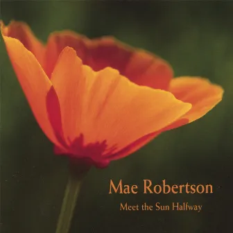 Meet the Sun Halfway by Mae Robertson