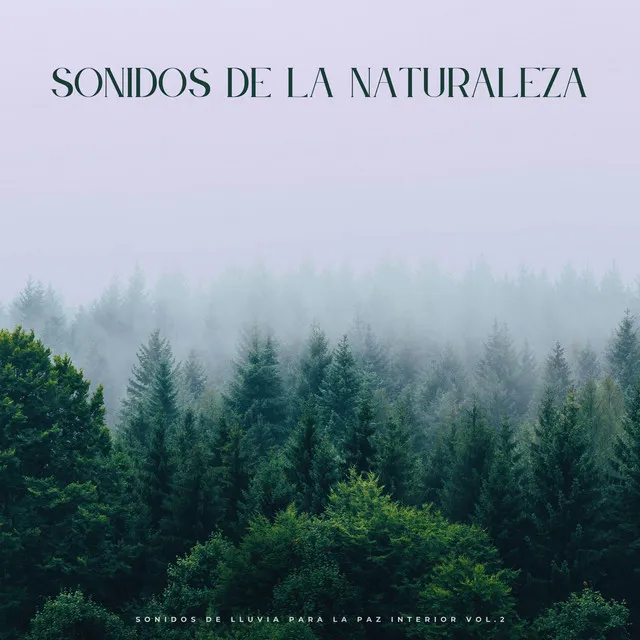 Sonidos De La Naturaleza: Sonidos De Lluvia Para La Paz Interior Vol.2