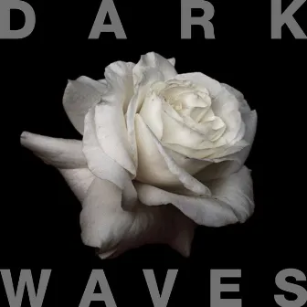 The Heartbeat The Soul by Dark Waves