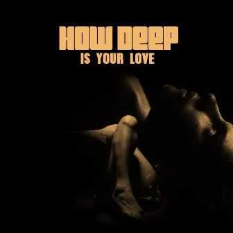 How Deep Is Your Love (Bossa Nova) by Diana Martinez