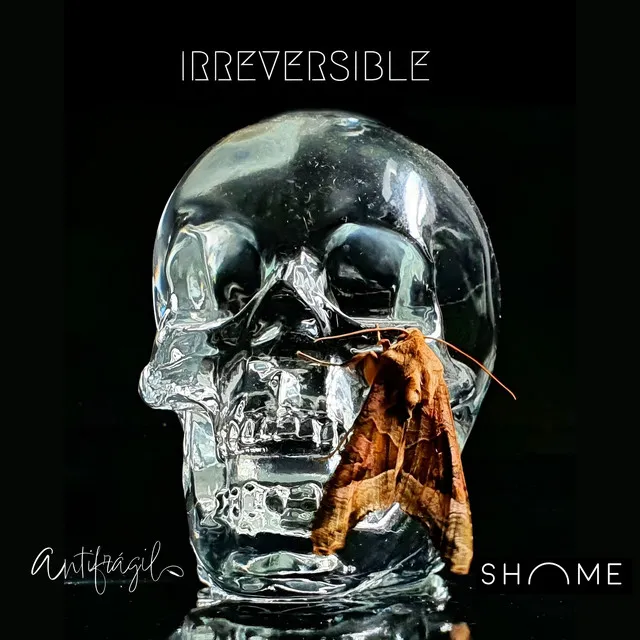 Irreversible - Shome Remix