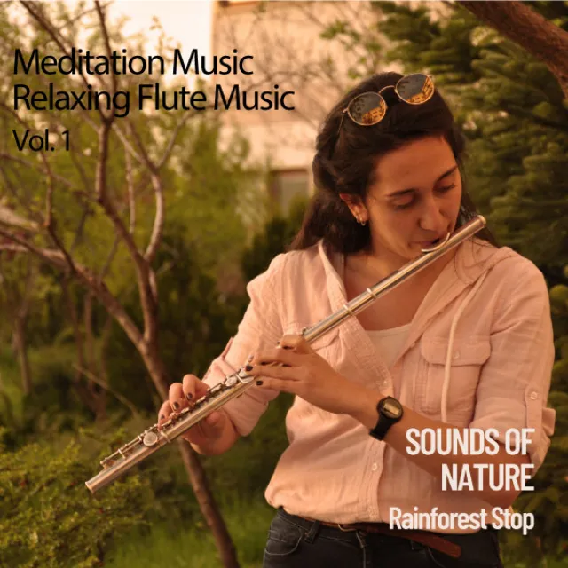 Meditation Music Relaxing Flute Music Vol. 1