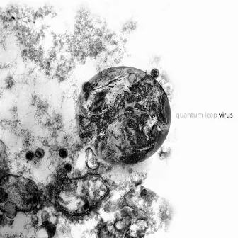 Virus by Quantum Leap