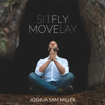 Sit Fly Move Lay by Joshua Sam Miller