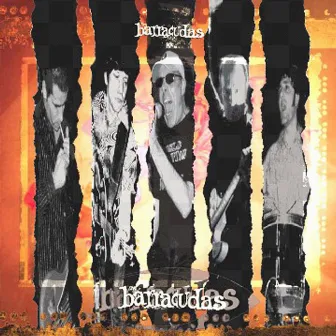 The Barracudas by The Barracudas