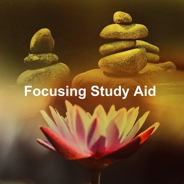 Focusing Study Aid