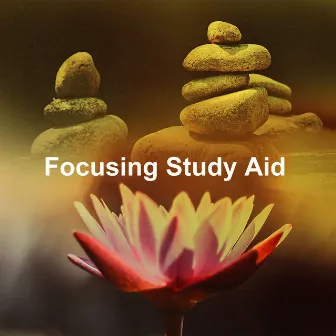 Focusing Study Aid by Focus Study