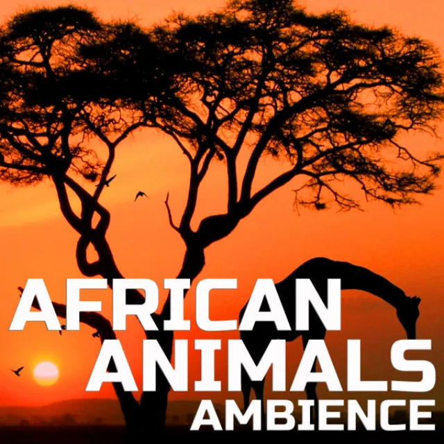 Soundscapers of African Animals