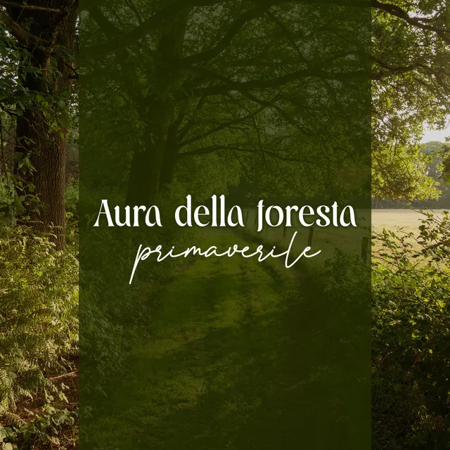 Atmosfera della foresta di primavera