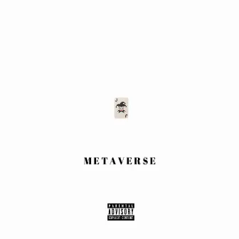 Metaverse by Bernard Flowers