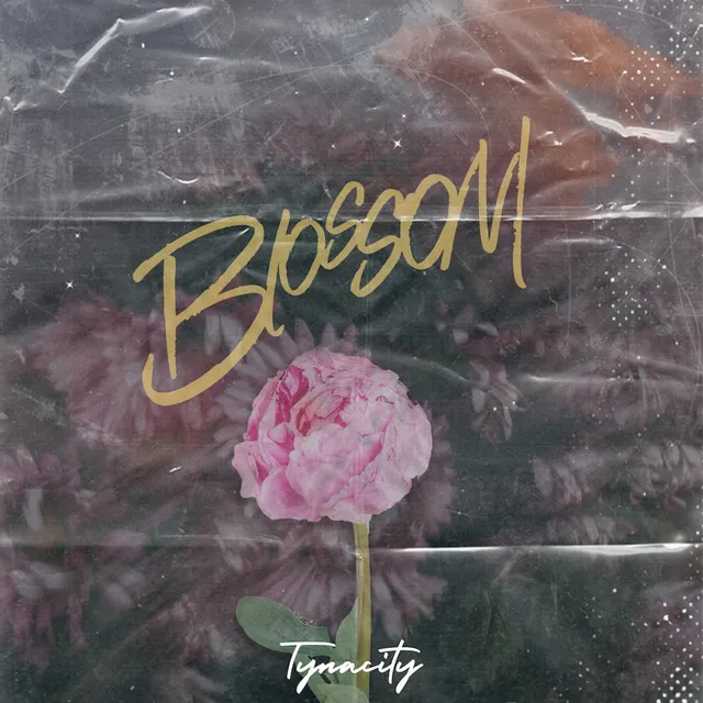 Blossom