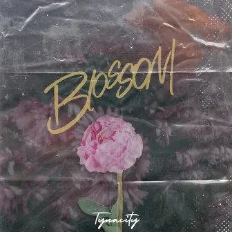 Blossom by Tynacity