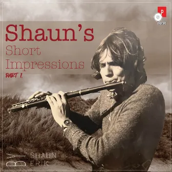 Shaun's Short Impressions Part 1. by Shaun Erik