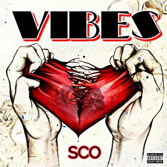 VIBES by Brasco