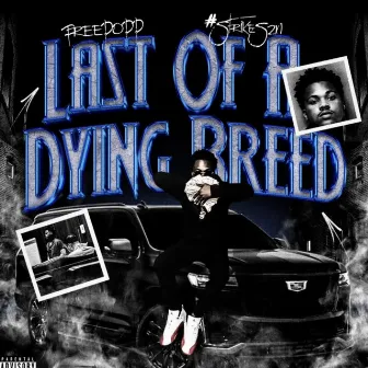 Last Of A Dying Breed by Roadrunninpopp