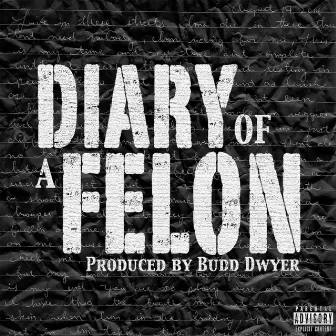 Diary of a Felon by Chetta