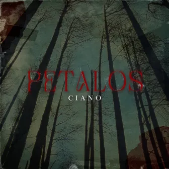 Pétalos by Ciano