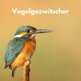 Vogelgezwitscher by Vogelstimmen Welt