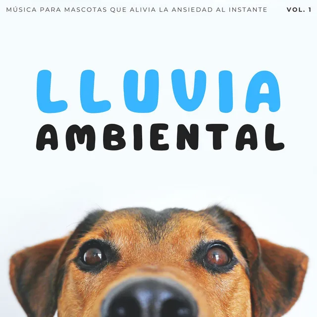 Lluvia Ambiental: Música Para Mascotas Que Alivia La Ansiedad Al Instante Vol. 1