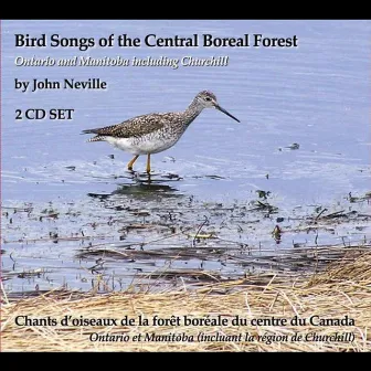 Bird Songs of the Central Boreal Forest Ontario and Manitoba including Churchill by John Neville