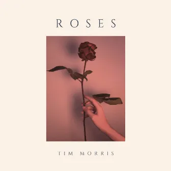 Roses by Tim Morris