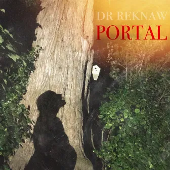 PORTAL by Dr. Reknaw