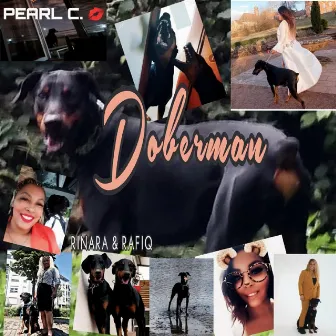 Doberman by PEARL C.