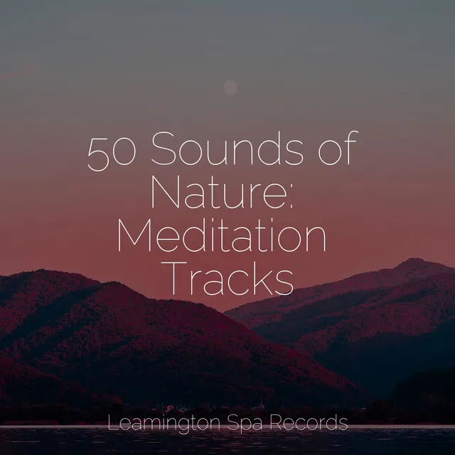 50 Sounds of Nature: Meditation Tracks