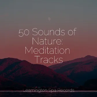 50 Sounds of Nature: Meditation Tracks by Unknown Artist