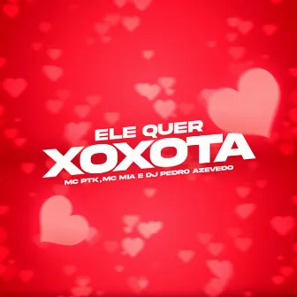 Ele Quer Xoxota by MC PTK