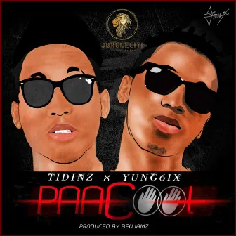 PaaCool (feat. Yung6ix) by Tidinz