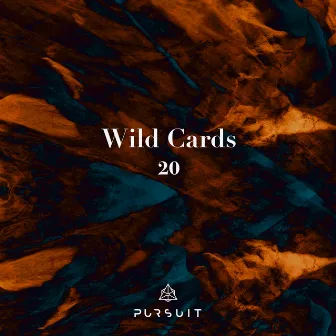 Wild Cards 20 by Pammin