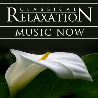 Classical Relaxation Music Now! Modern Hit Songs Go Orchestral by Pop Orchestral Academy of Los Angeles