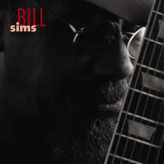 Bill Sims by Bill Sims