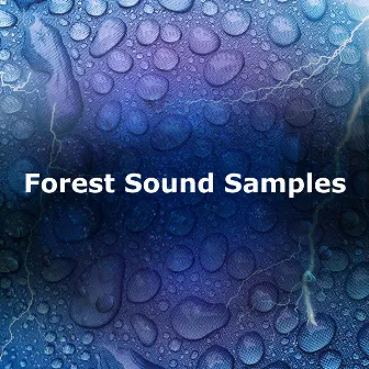 Forest Sound Samples by Forest Sounds For Relaxation