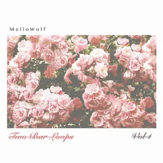 Two Bar Loops, Vol. 1 by MelloWolf